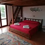 Vocabolo Casa Nuova Paltriccia