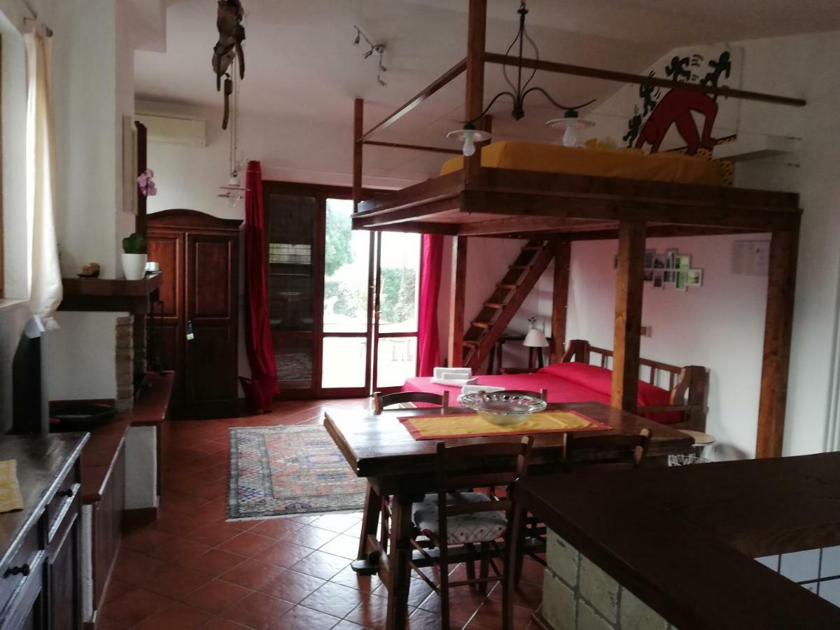 Vocabolo Casa Nuova Paltriccia *